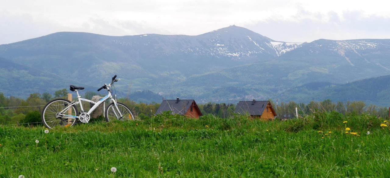 Domki Sowi Kamien Lomnica  Exterior foto