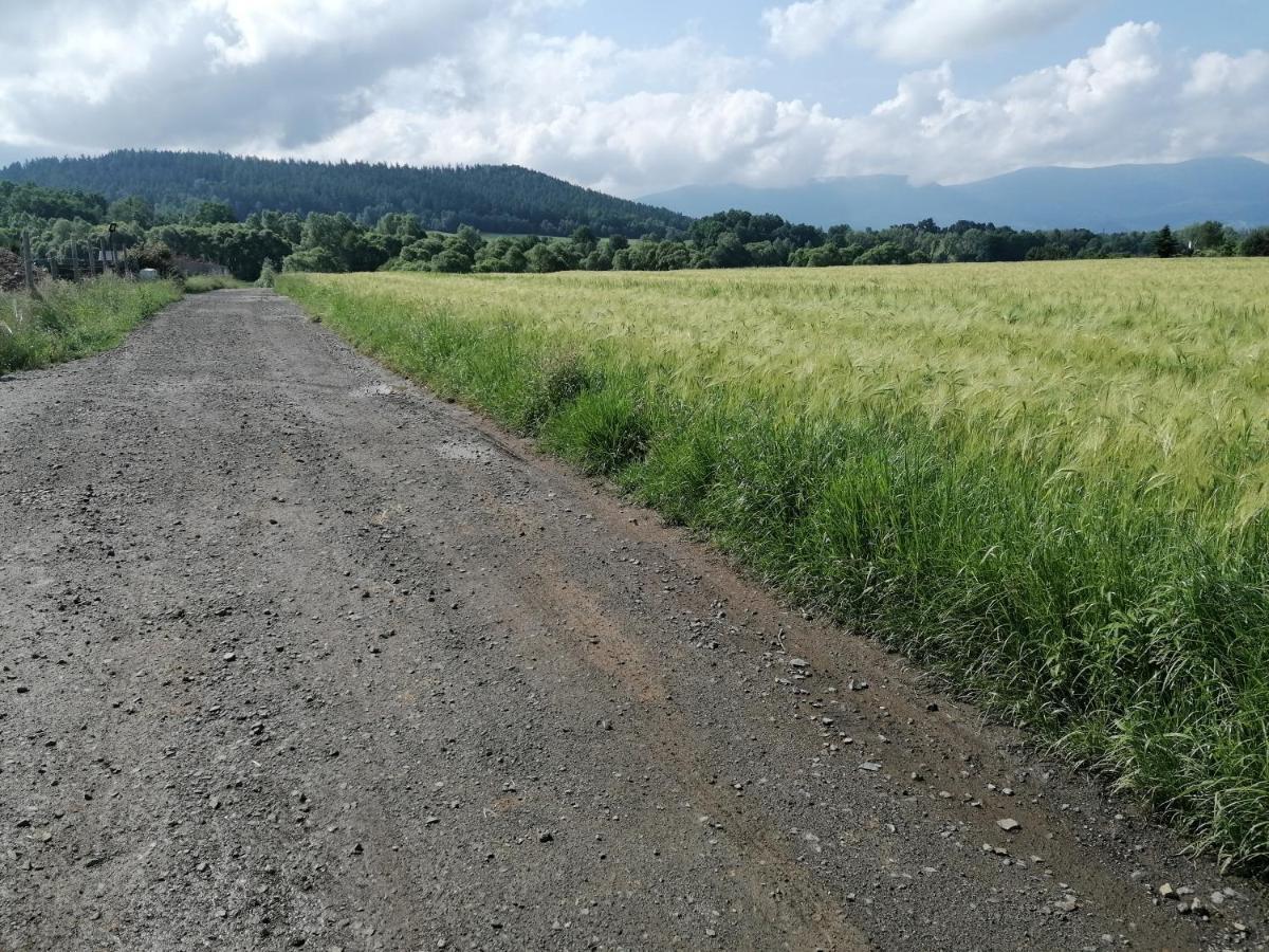 Domki Sowi Kamien Lomnica  Exterior foto
